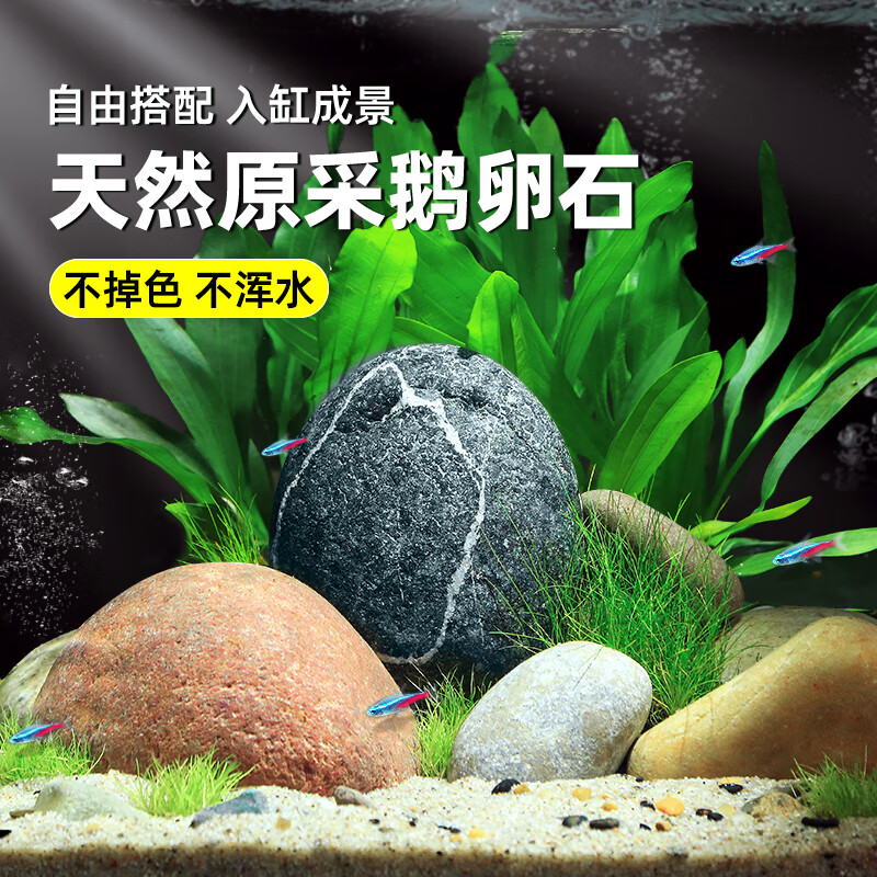 瘋狂水草鵝卵石魚(yú)缸造景擺件底砂天然裝飾石頭龜缸造景石 【8斤】5-8cm原生鵝卵石