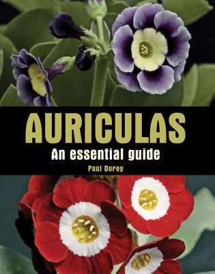 预订auriculas: an essential guide