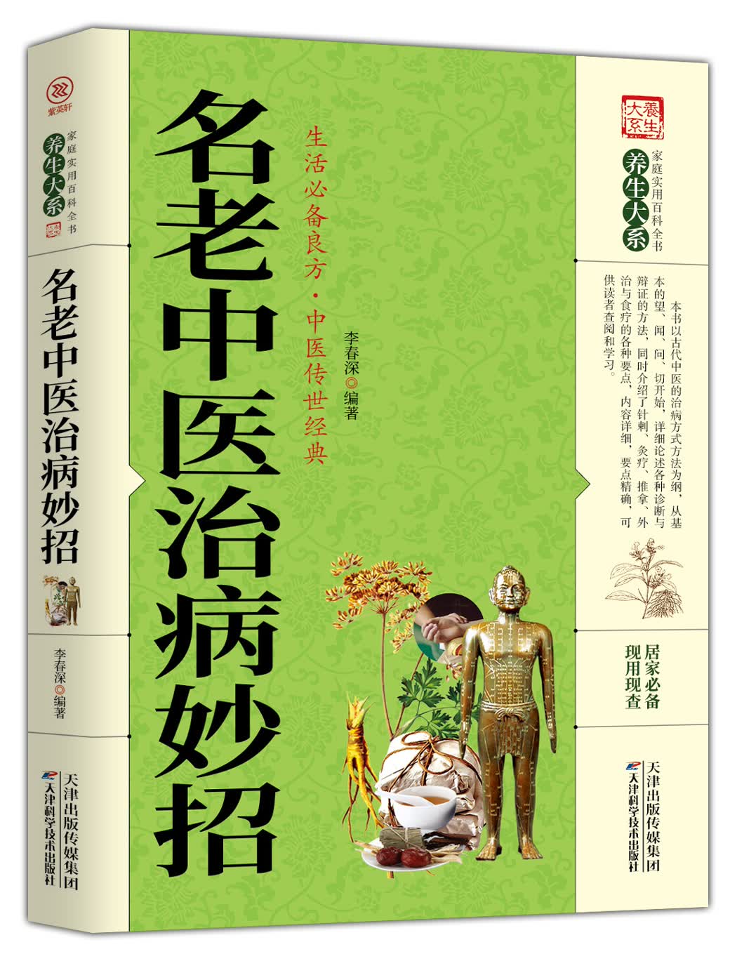 家庭实用百科全书养生大系：名老中医治病妙招