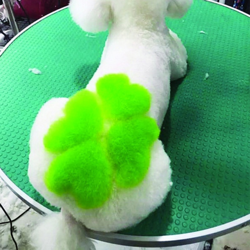 龙宠物染发剂狗狗染色膏染毛剂深色去脏去黄去泪痕染膏宠物漂白染色