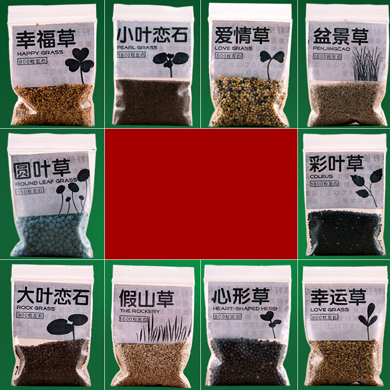 草籽草种子上水石吸水石盆景草植物珍珠草盆栽微景观小草 大叶恋石