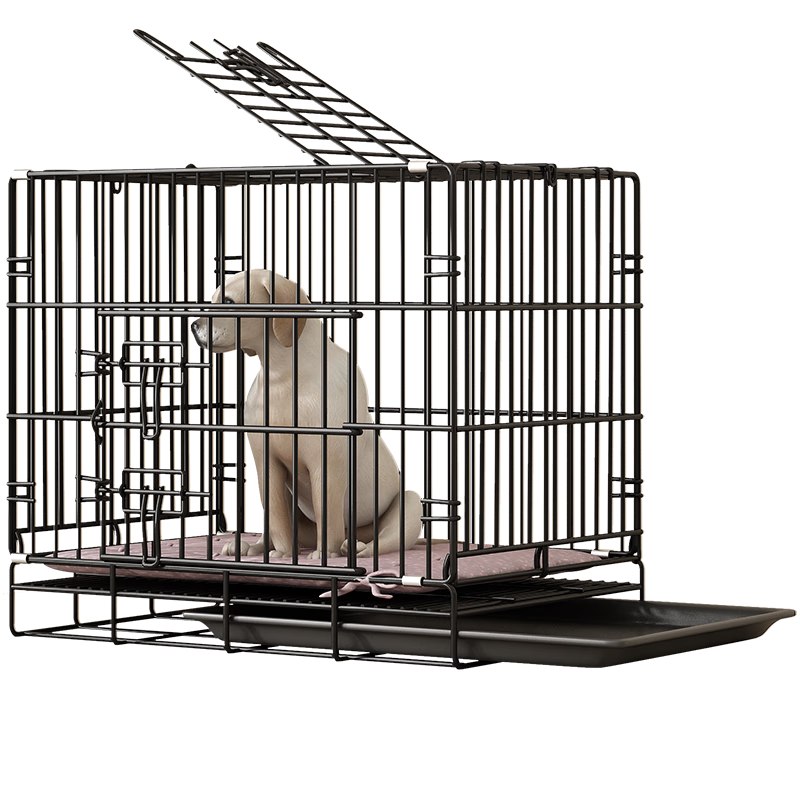 ���ڲ�������蹷��è�� ��������С��Ȯ��������Ȯ����è���Ӵ�ż���Χ������ 214.4Ԫ��5��(��42.88Ԫ/��)