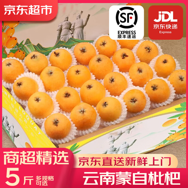 优味集【顺丰速发】云南蒙自枇杷新鲜水果止咳琵琶鲜果孕妇生鲜节日送礼 净重1000g（严选优果18-30g）