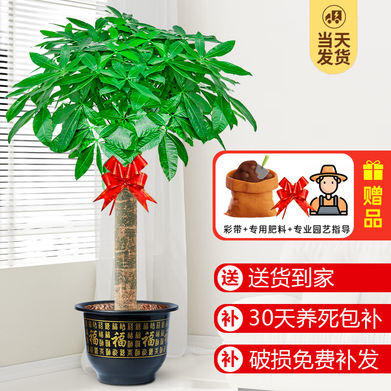 ���ڲ��������ŷ�������ֲ����������԰ٺ���칫���ڿ�ҵ��Ǩ�����������辰 ���˷�����1.1-1.2��+������