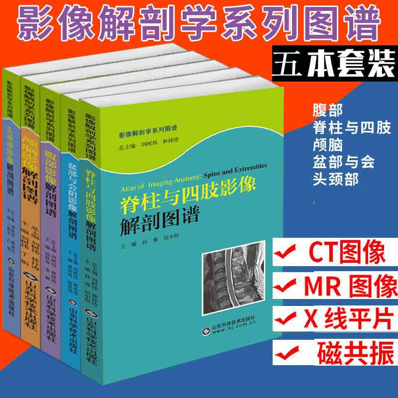解剖学结构矢状断层及冠状断层骨骼及肌肉结构医学参考类丛书  山
