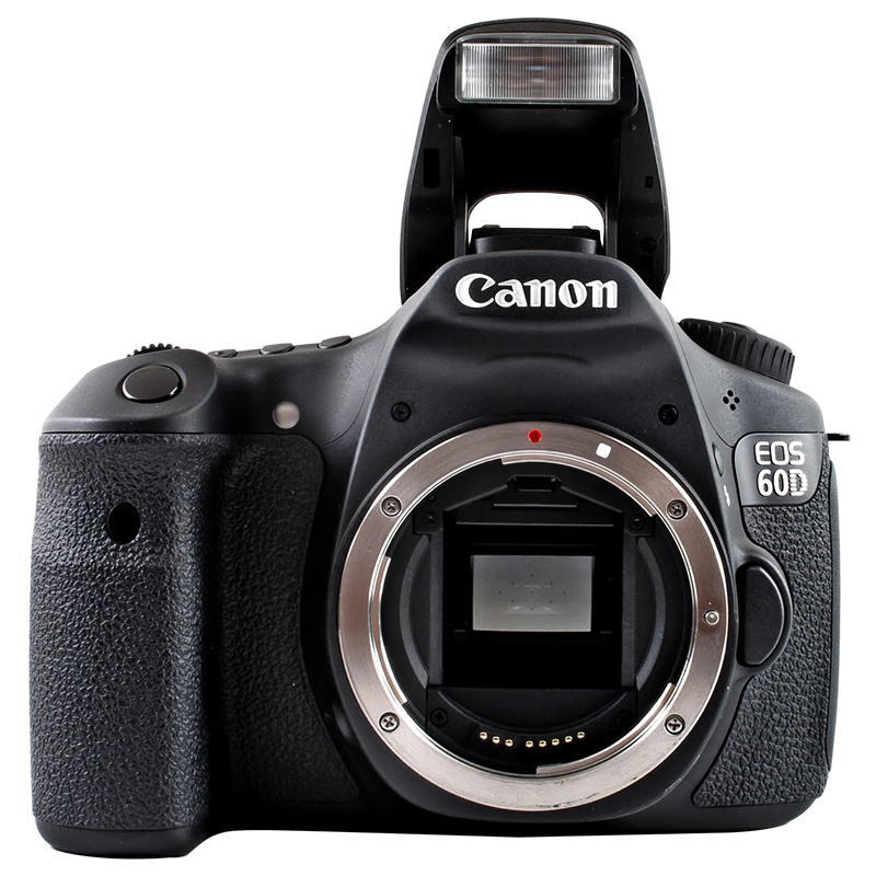 中端全新canon/佳能eos 60d高清单反相机70d7d证件照摄影学习 佳能60d