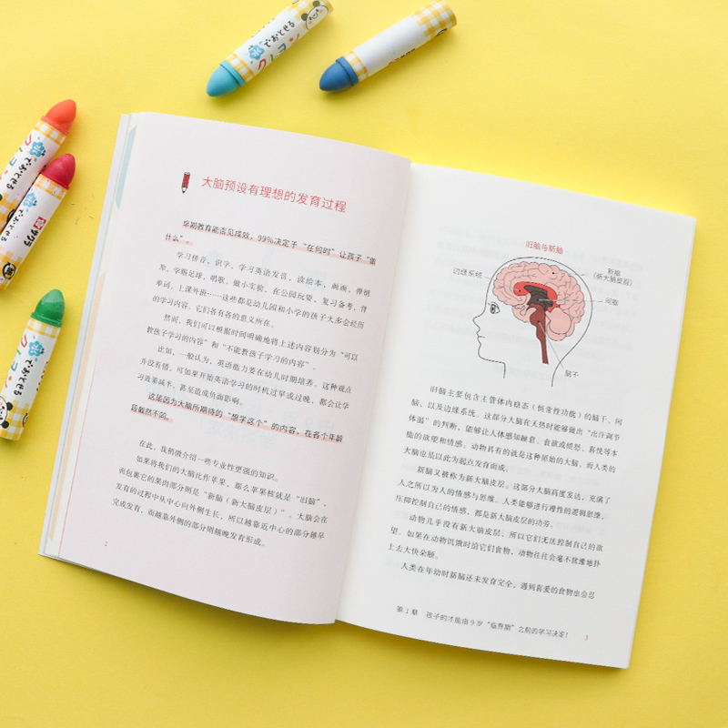孩子的能力在9岁前决定（开发六大智能，轻松应对幼小衔接，幼升小不迷茫！）详情图