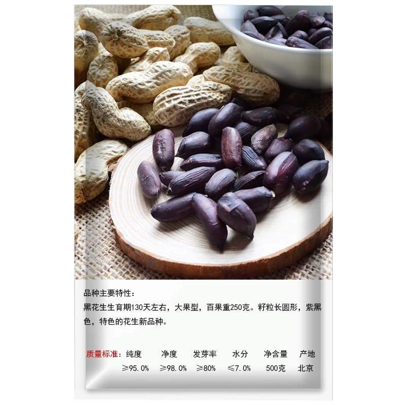 凤鸣雅世花生种孑黑花生四粒红花生种籽带壳生的种籽老品种紫皮花生