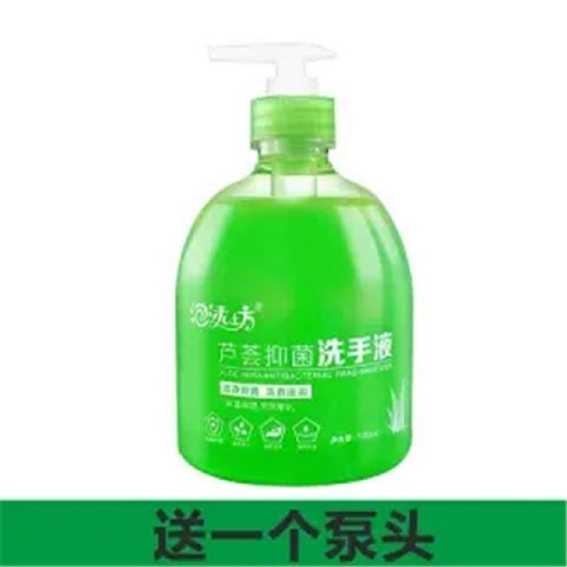 芦荟洗手液家用儿童除菌清香型消毒按压式保湿大瓶装 1瓶装(500g)