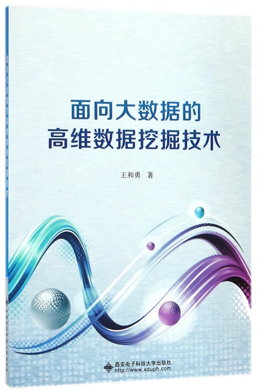 面向大数据的高维数据挖掘技术