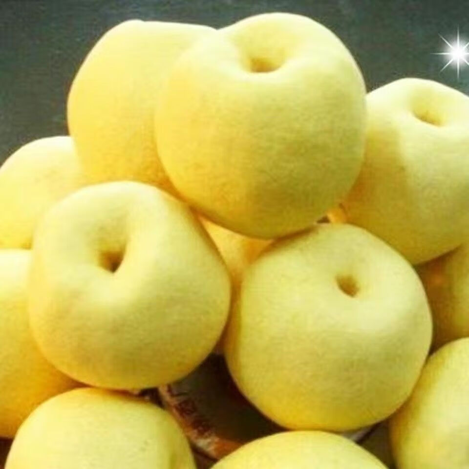 格沃斯(GEWOSI)梨子酥梨山西贡梨雪梨新鲜应季水果薄皮整箱批发 【精品大果】10斤带箱