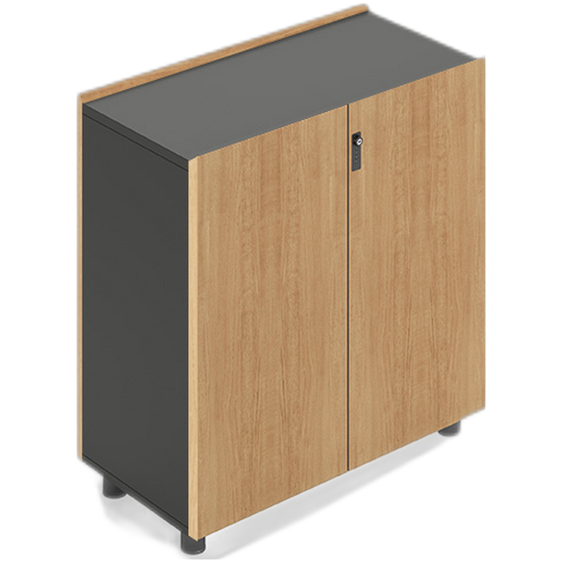 圣奥(sunon)办公家具储物文件柜办公桌背柜资料柜档案柜木质储物柜 卡斯丁双门矮柜