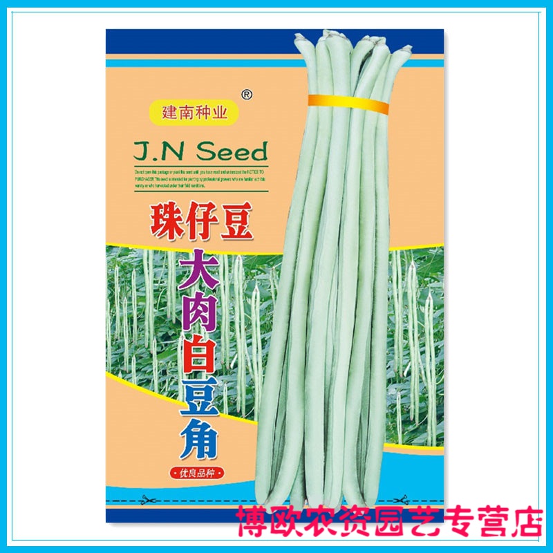 豆角种孑猪仔豆种子珠仔豆大肉白豆角种籽蔬菜种籽豆子豆种春秋播