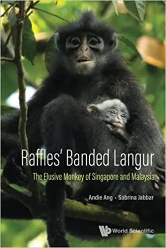 预订raffles banded langur: the elusive monkey of si