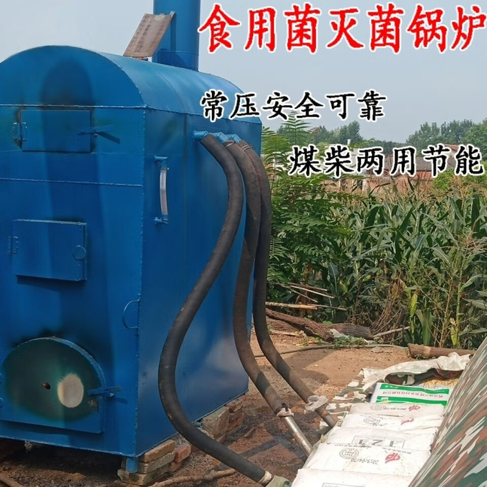 定制适用食用菌灭菌蒸汽锅炉常压煤柴两用香菇平菇木耳菌包灭菌灶