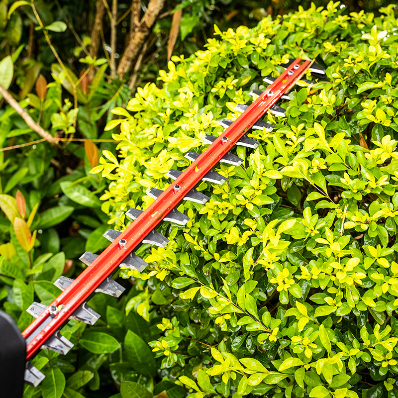 格力博greenworks40v版充电绿篱机电动绿篱修剪机锂电修枝机 40v 4ah