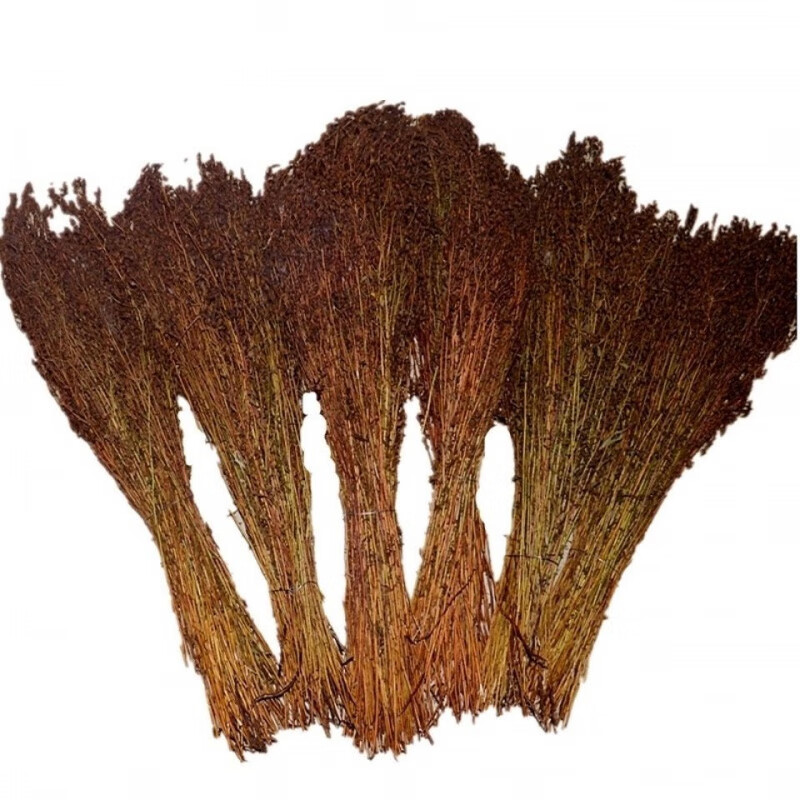 臻吉言正宗大兴安岭稳心草鹿心草天然中草花草茶护心草茶泡水 100克