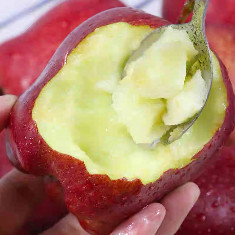 于小乖甘肃天水花牛粉面苹果婴儿刮泥老人孕妇粉糯红蛇苹果(需放粉) 带箱5斤大果（净重4.5斤）