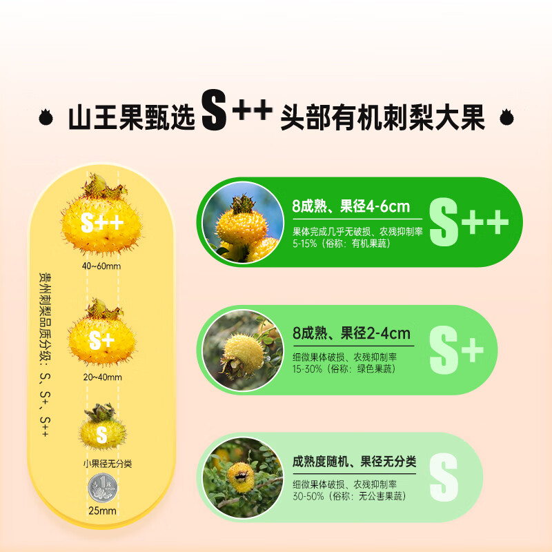山王果轻酵刺梨液小分子团刺梨原汁有机鲜榨贵州刺梨原浆富含VC果汁饮料 12盒装【30ml*84袋】
