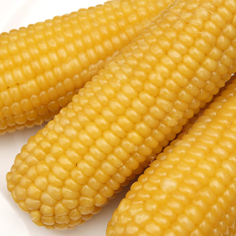 虎钢馋东北糯玉米真空装即食粘嫩苞米棒新鲜食甜黏熟黄玉米根