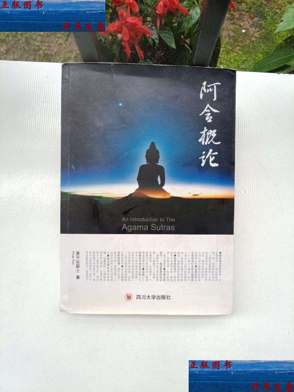 【二手9成新】阿含概论 /萧平实居士 四川大学