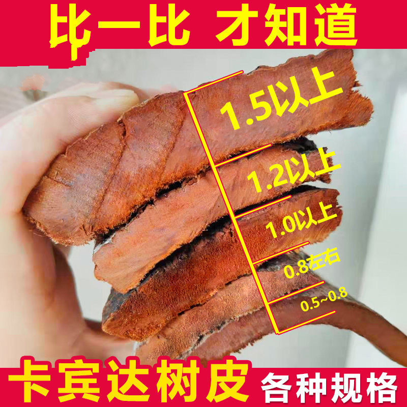 2公分/1.5公分超厚安哥拉卡宾达树皮树皮 卡宾达树皮100克 特厚1.