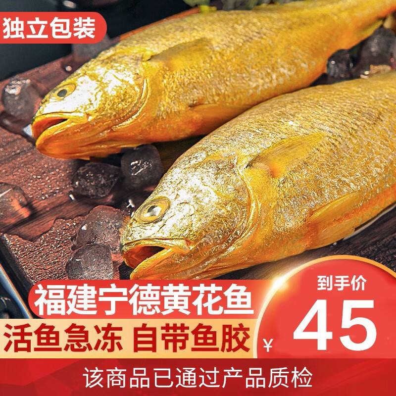 沃鲜汇 黄花鱼 1斤/条 大黄鱼生鲜鱼类 黄花鱼一条装(500g)