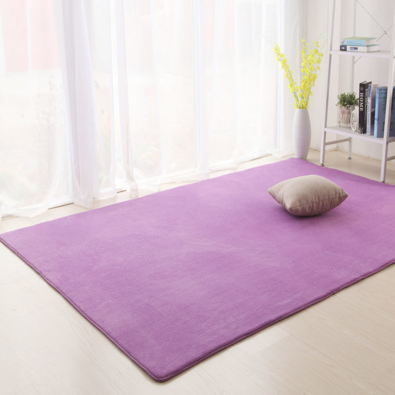 加厚地毯客厅茶几地毯卧室少女床边地毯房间满铺地毯厨房 紫色 80X120厘米