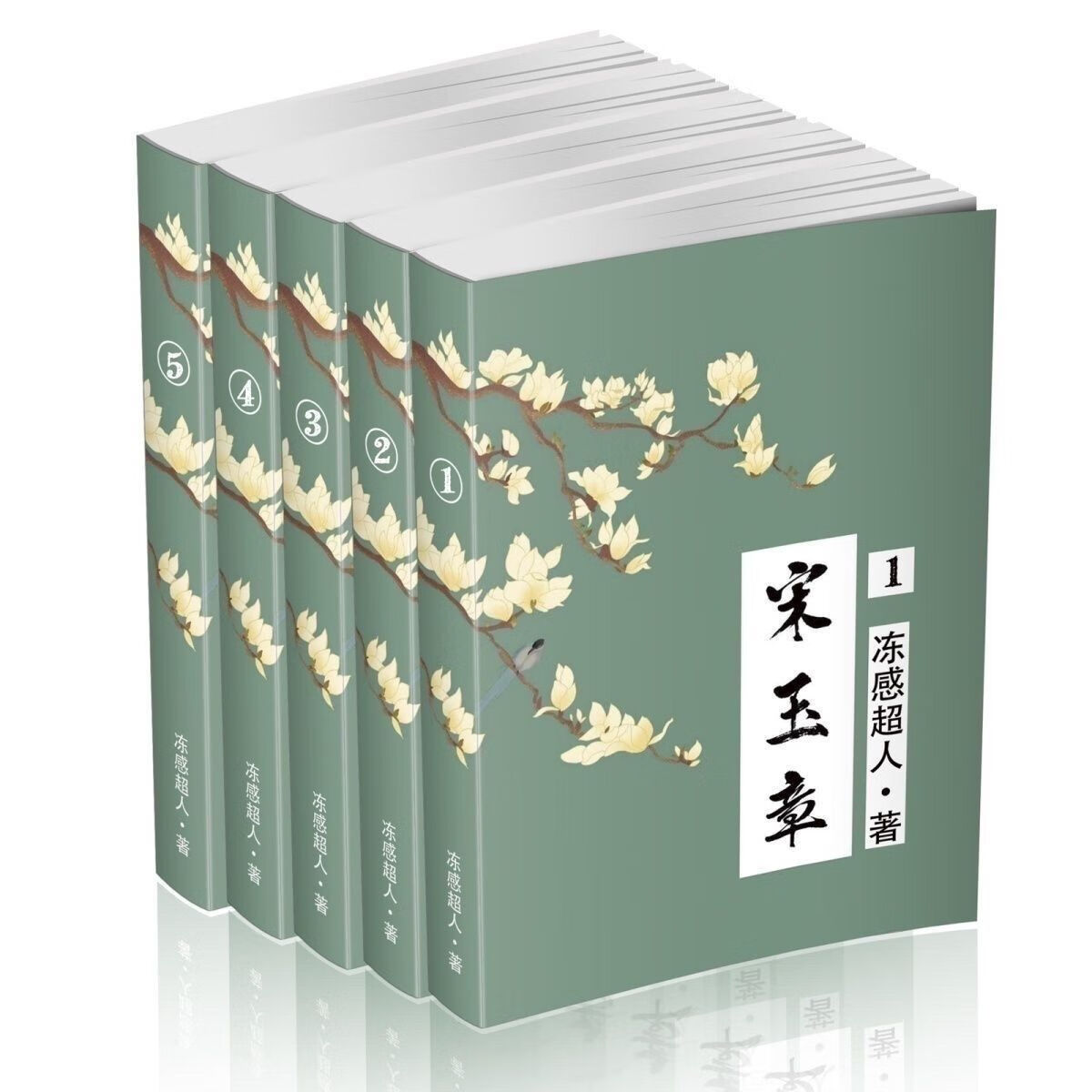 二手书9成新 现货 宋玉章 实体书1-5册 原文完结含番外 冻感超人
