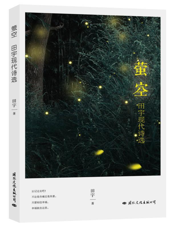 萤空:田宇现代诗选  田宇  国际文化出版公司  文学 书籍