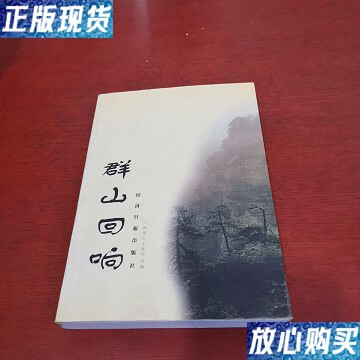 【二手9成新】群山回响 实物拍摄】 /王含 经济出版