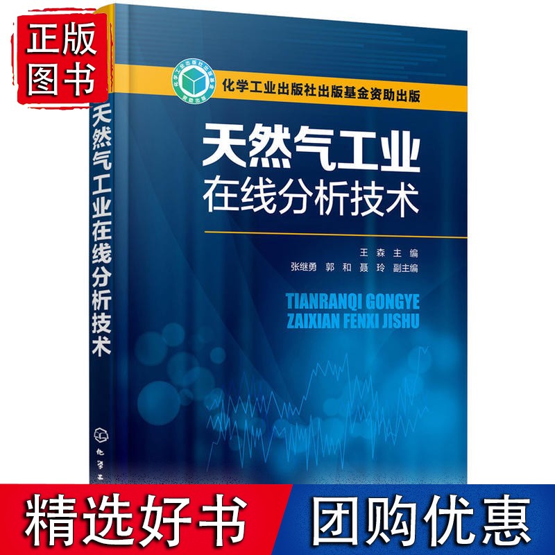天然气工业在线分析技术