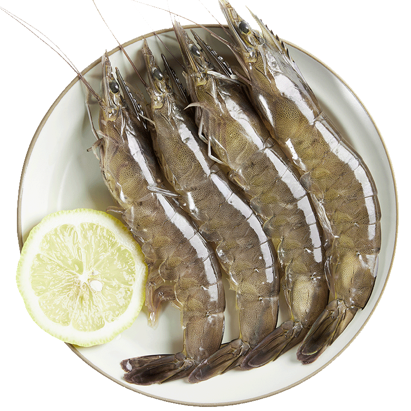 ���ڲ������ʰ�ͷ��Ϻ�ൺ��Ϻ��������Ż�ΧϺ�ʻ��䶳��Ϻ��Ϻ ����ˮ���������� 18-22cm 3��(����)  �ζ���Ϻ