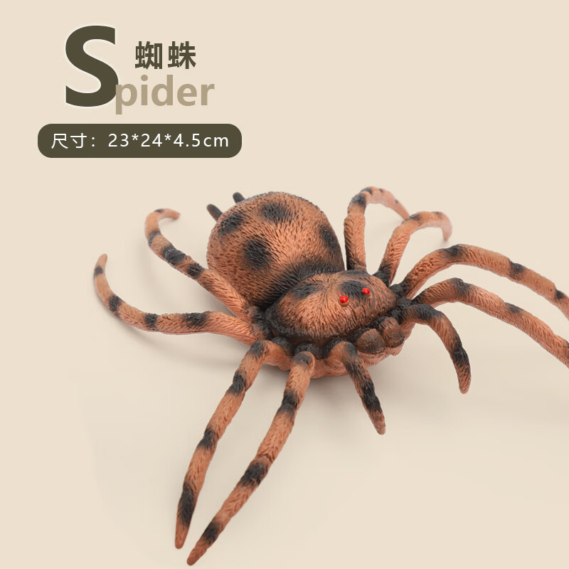 乾昊大号昆虫全套模型独角仙蜻蜓爬行动物虫子仿真玩具套装摆件 蜘蛛