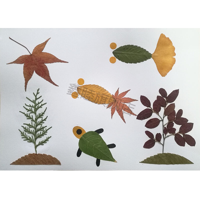 手工材料包幼儿园秋天真树叶贴画儿童叶子标本画 a4材料包(海底世界)