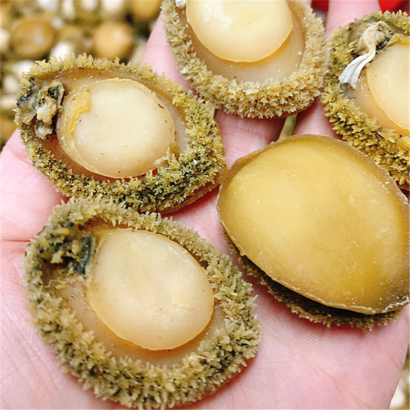 南非干鲍鱼18-20头一斤特级南非溏心干网鲍鱼干货100g