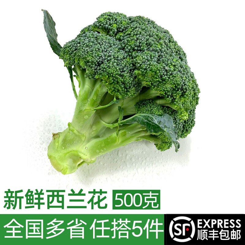 绿食者 新鲜西兰花500g 青花菜 绿花菜 花椰菜 时令蔬菜