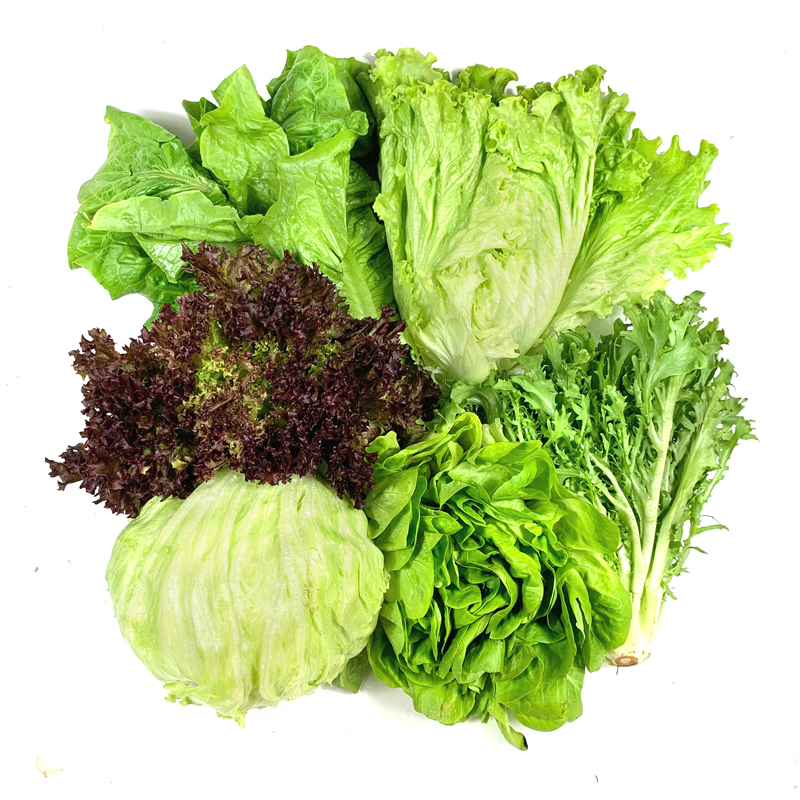 绿食者 沙拉蔬菜组合3.5斤 新鲜苦菊绿叶红叶生菜西餐沙拉健康轻食蔬菜 蔬菜沙拉组合3.5斤【无沙拉酱】