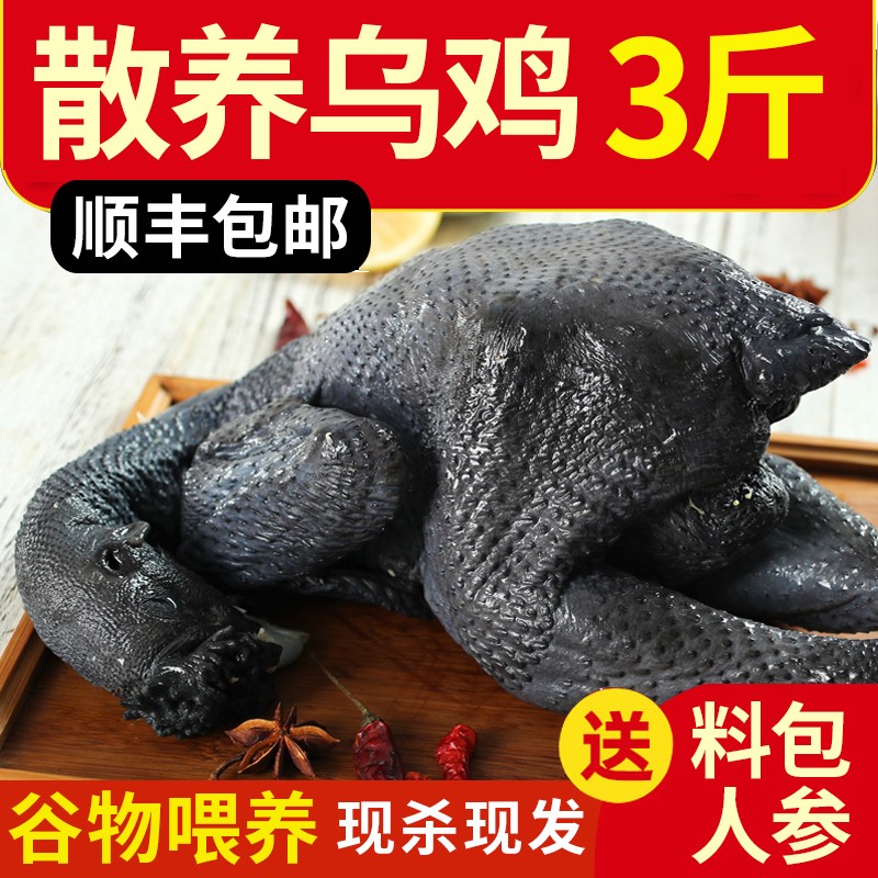 鸡肉价格历史最低|鸡肉价格走势图