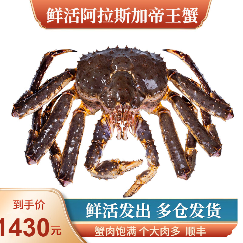 【活帝王蟹】鲜活阿拉斯加帝王蟹海鲜超长脚蟹皇帝蟹顺丰 3-3.5斤