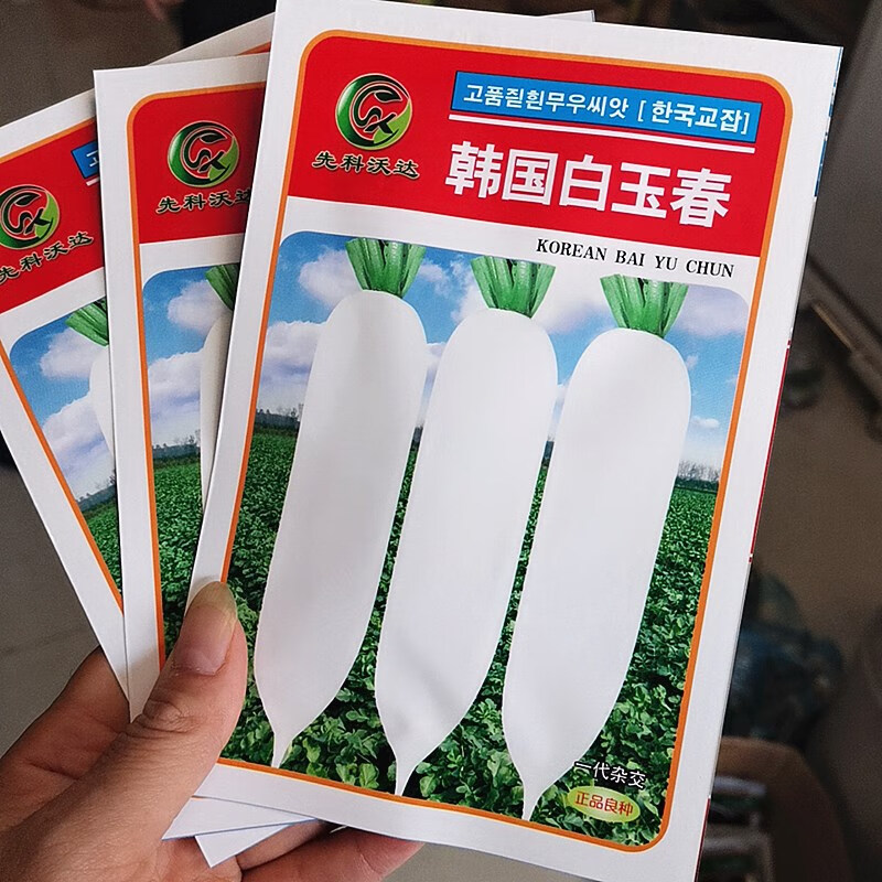楓麥萱罐裝白蘿卜種籽韓國(guó)白玉春蘿卜種子春秋季種植白福美優(yōu)質(zhì)蘿卜種孑 韓國(guó)白玉春白蘿卜【原裝5克】