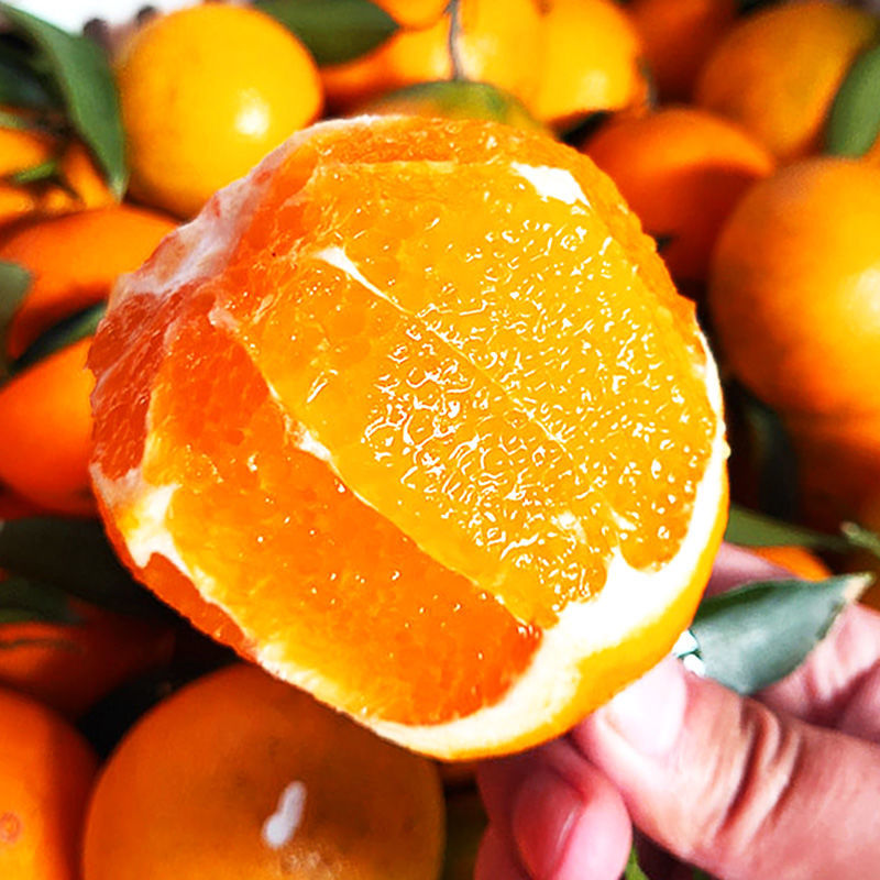 【精选S级】【酸酸甜甜】湖北秭归脐橙新鲜橙子水果3斤装果径60mm+多仓发货 3斤装(果径60mm起)