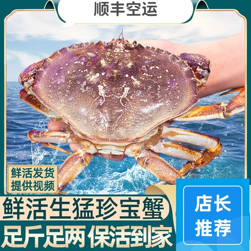 鲜活珍宝蟹面包蟹螃蟹特大超大新鲜海鲜水产黄金蟹太子蟹 1.