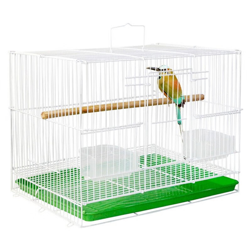 贝尼宠 鸟笼  鹦鹉鸟笼子 鸟笼大号 鸽子笼鸟笼子 40鸟笼2只鸟39x27x30含站杆食盒怎么样,好用不?