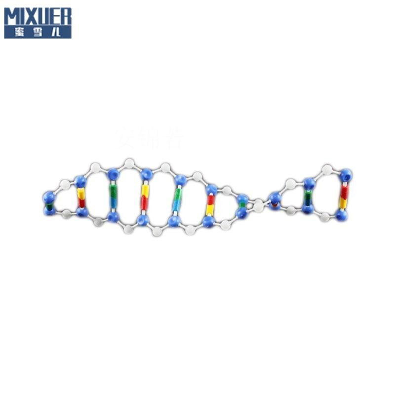 阡囤 高中生物dna双螺旋结构模型组件实验器材教学仪器学具教具 器