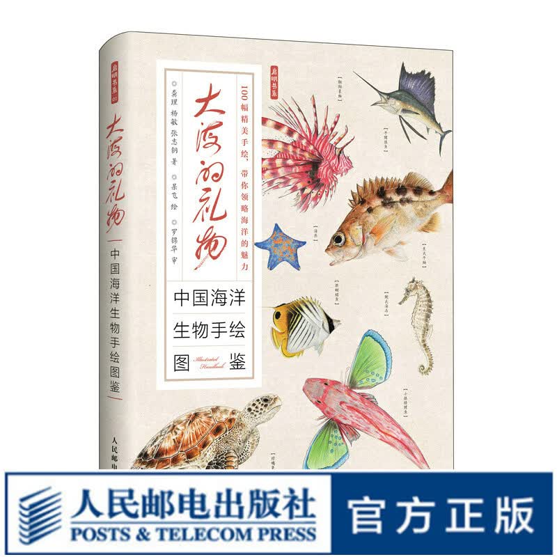 【现货 速发】大海的礼物 中国海洋生物手绘图鉴 100幅海洋生物 精美手绘海洋大百科 海洋科普图册