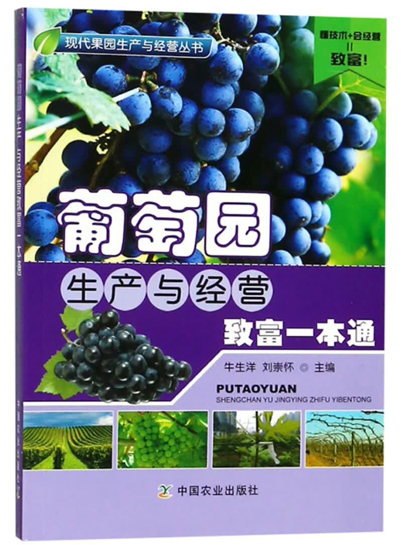 葡萄园生产与经营致富一本通/现代果园生产与经营丛书