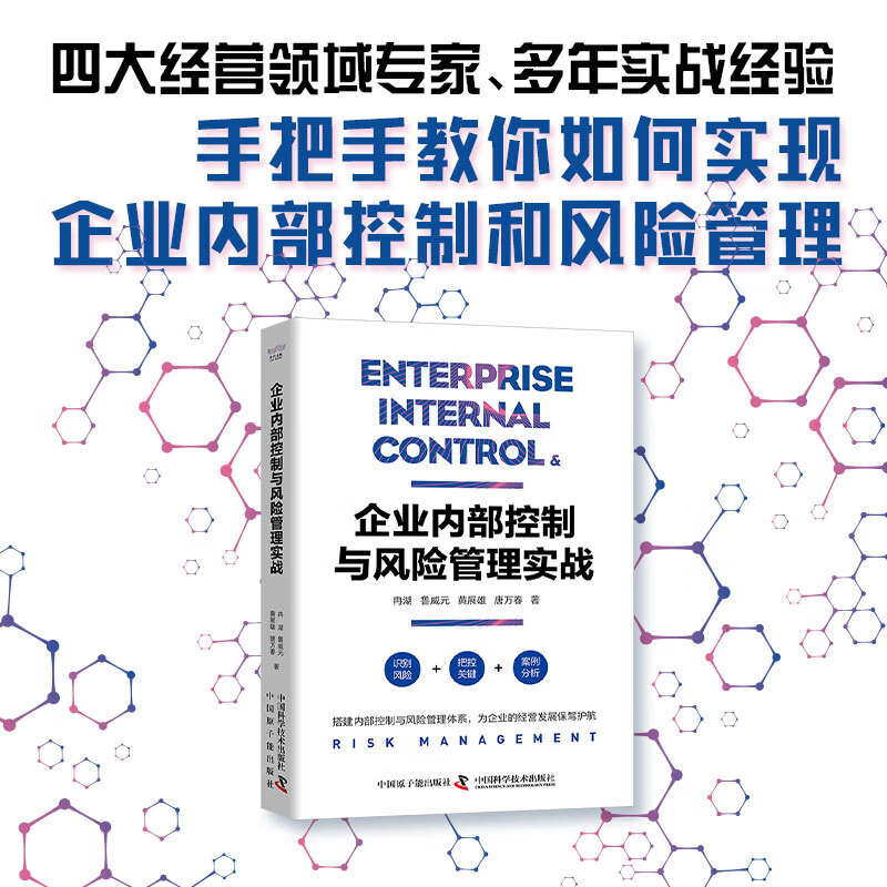 企业内部控制与风险管理实战