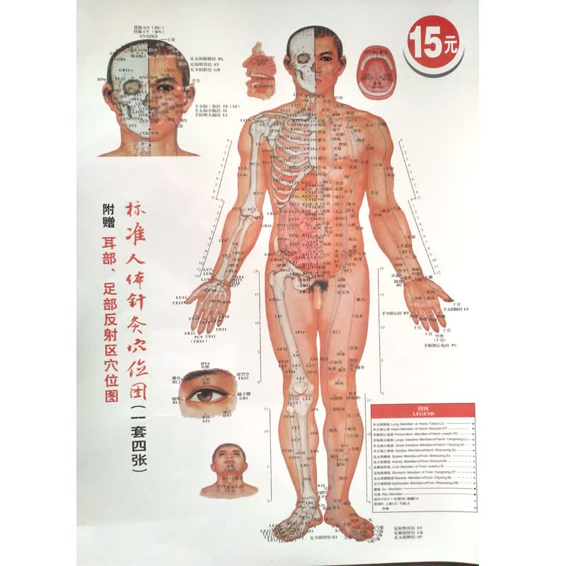 标准人体针灸穴位图(一套四张)-附赠耳部足部反射区穴位图 山西科学技术出版社
