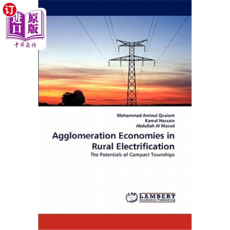 海外直订agglomeration economies in rural electrification 农村